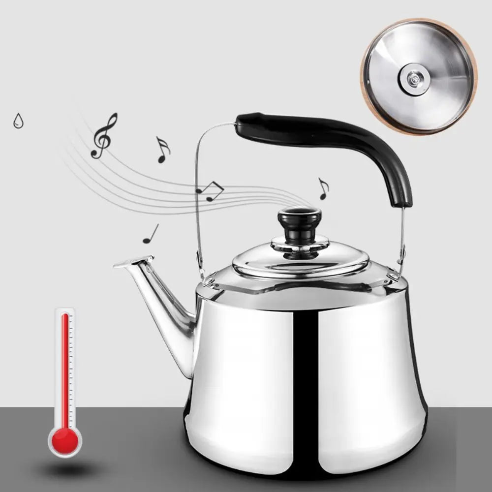 Bouilloire Sifflante 1L en Acier Inoxydable avec Filtre et Poignée Ergonomique
